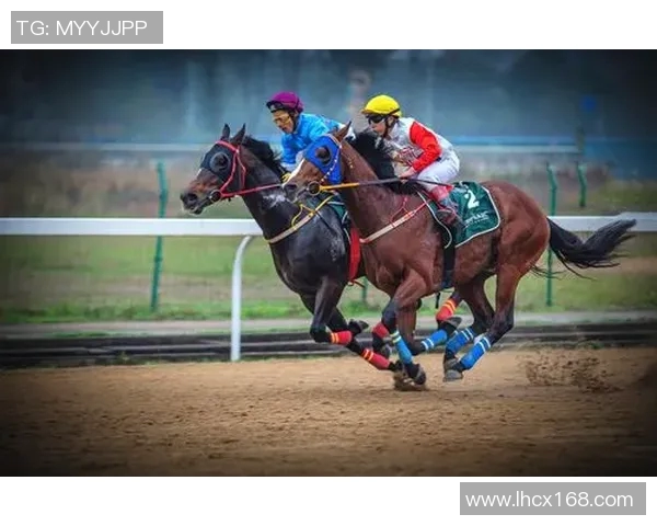 武汉羽毛球队速度对比深度解析与训练策略探讨