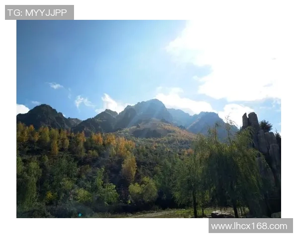 360库尔德人对阵赫根的精彩对决分析与赛后点评