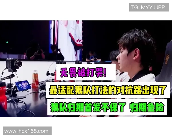 外媒解析SN战队与JDG对决背后的策略与表现差异 外媒解析SN战队与JDG对决背后的策略与表现差异